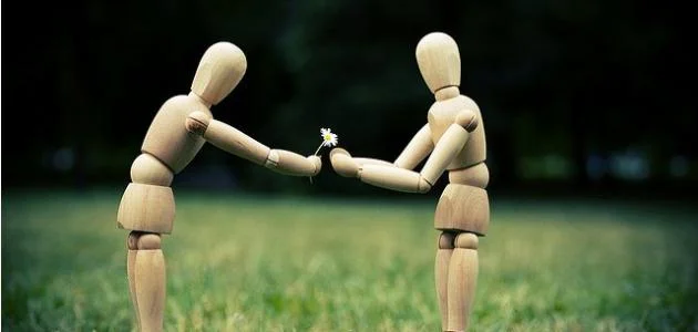 كيف تختار شركة تطوير تطبيقات | دليل شامل - نصائح - كودشيلد للحلول البرمجية